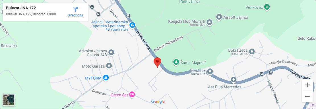 Dizne Servis Kontakt